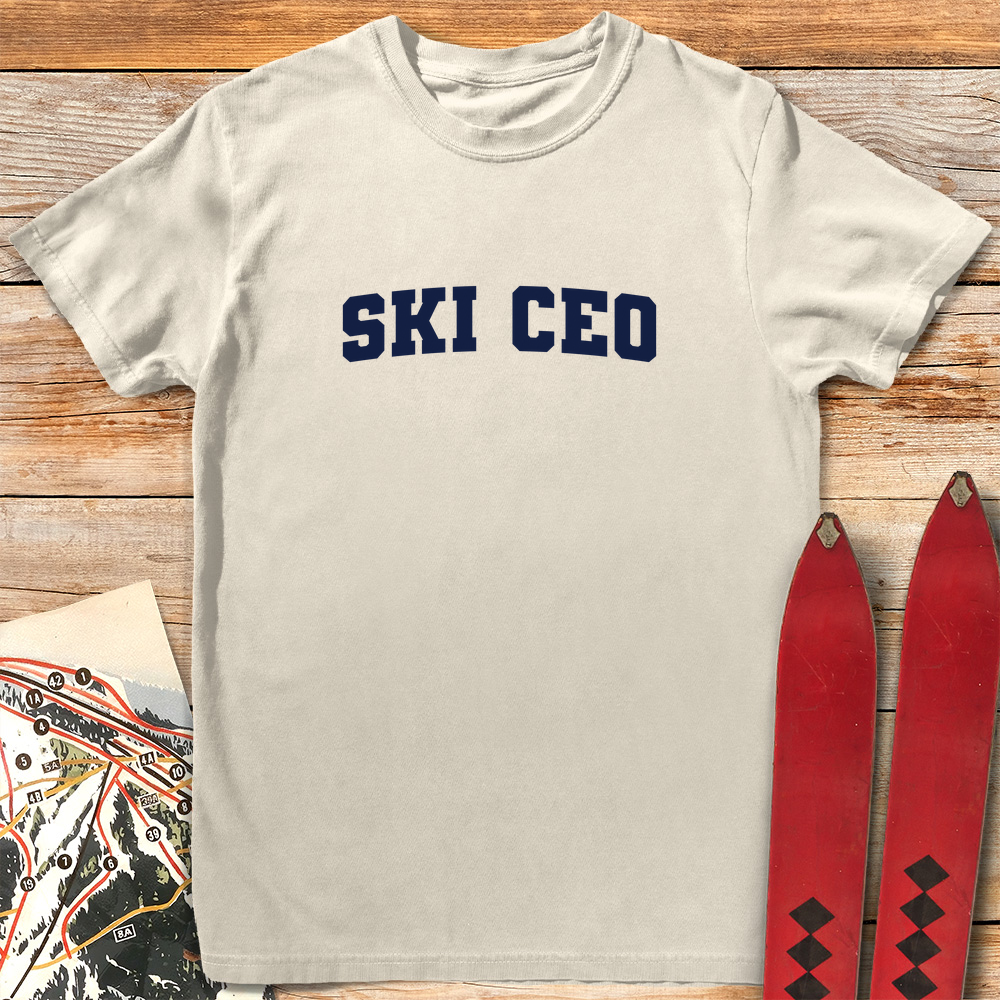 Ski CEO product image 5