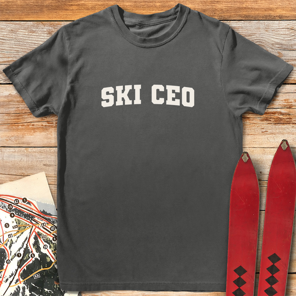Ski CEO product image 6
