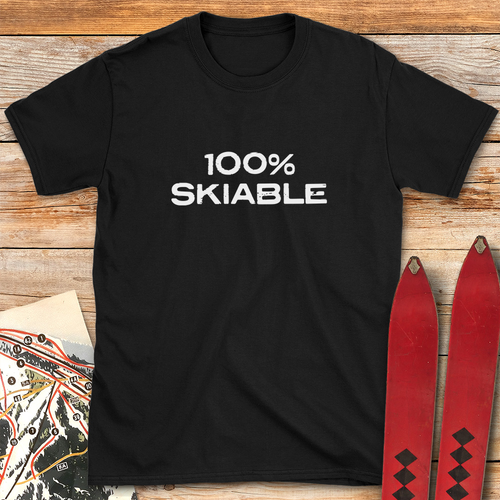 100% Skiable product image 2