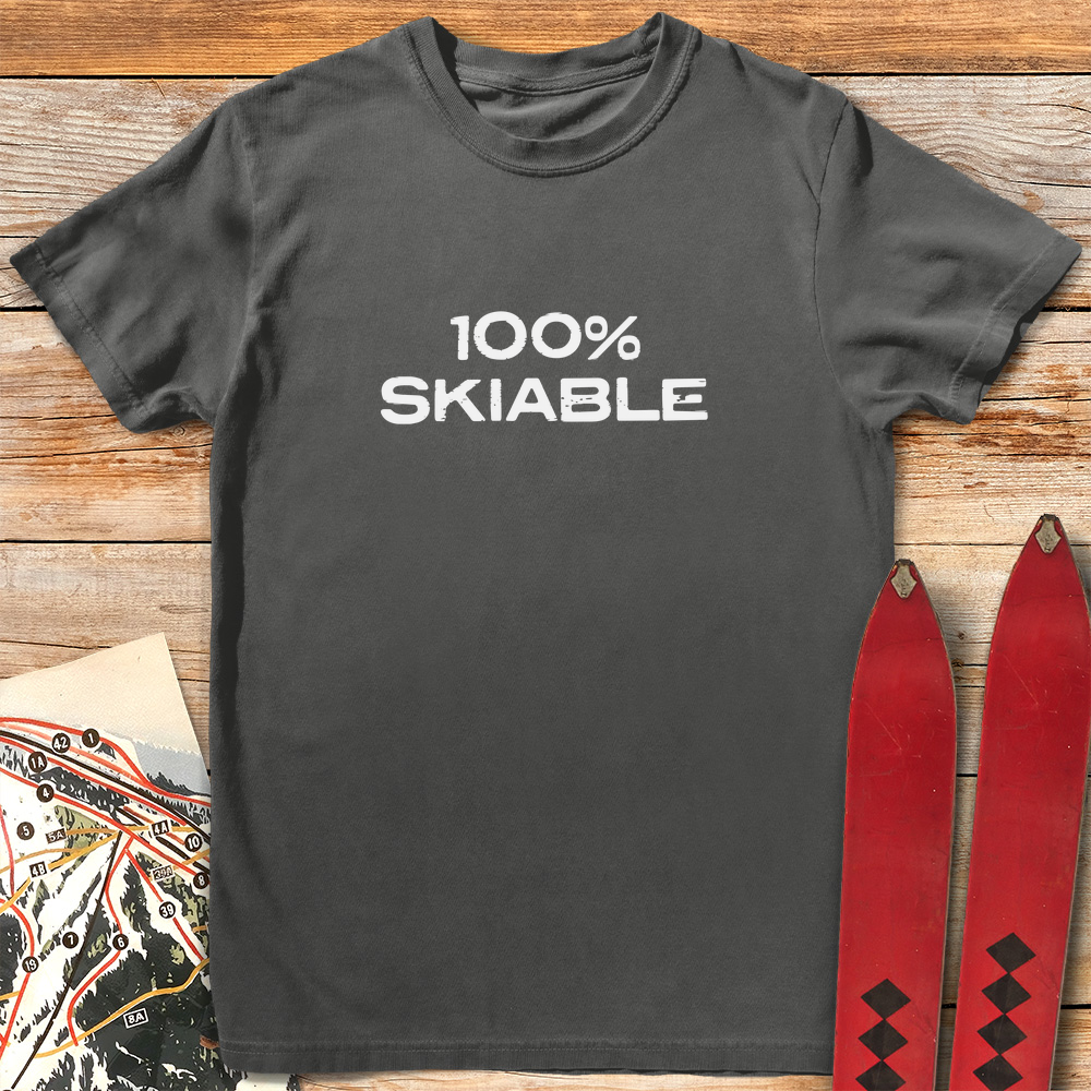 100% Skiable product image 6