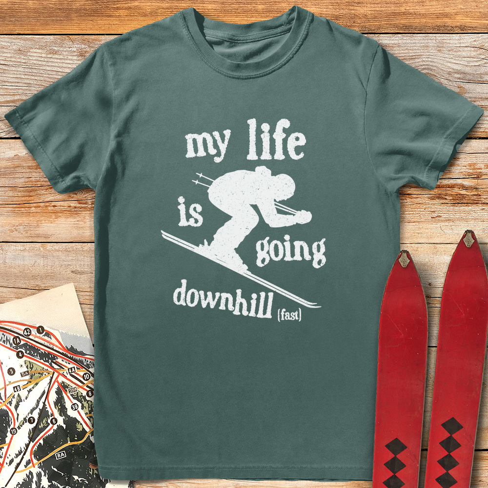 Downhill Fast Ski product image 4