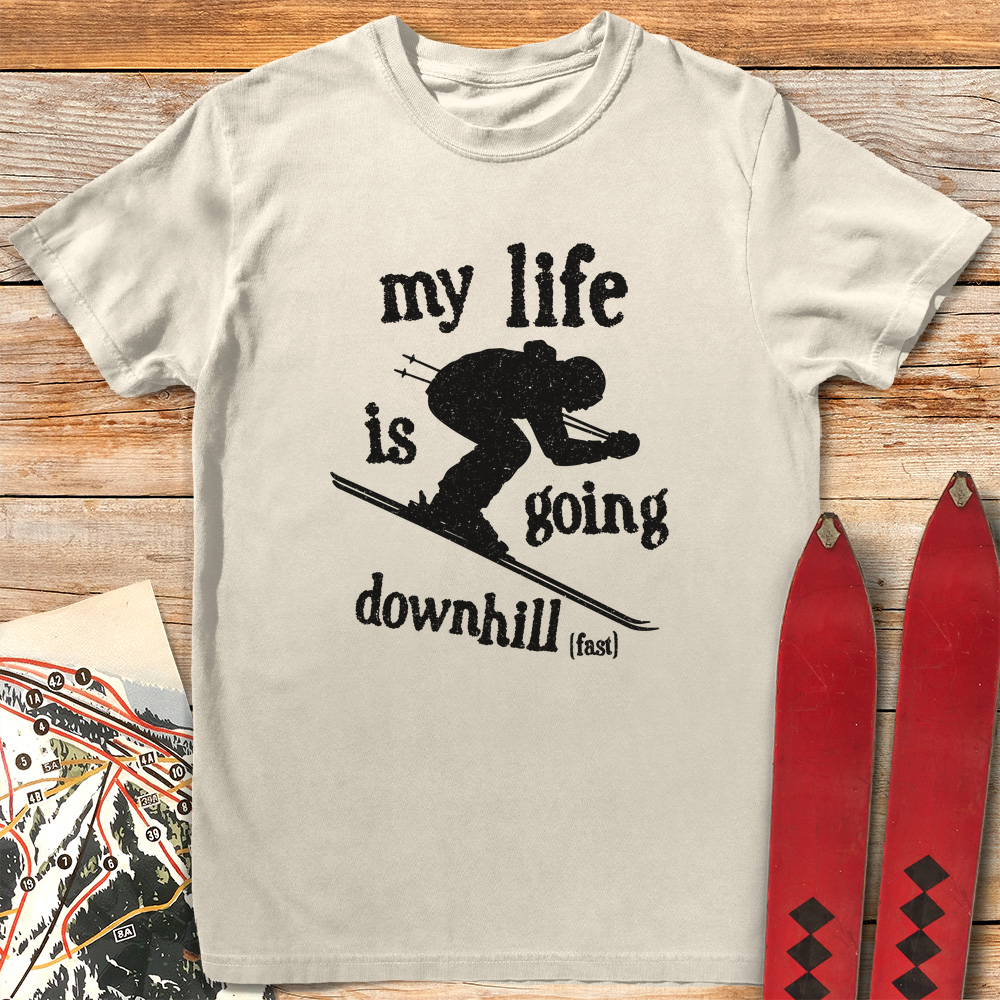 Downhill Fast Ski product image 5