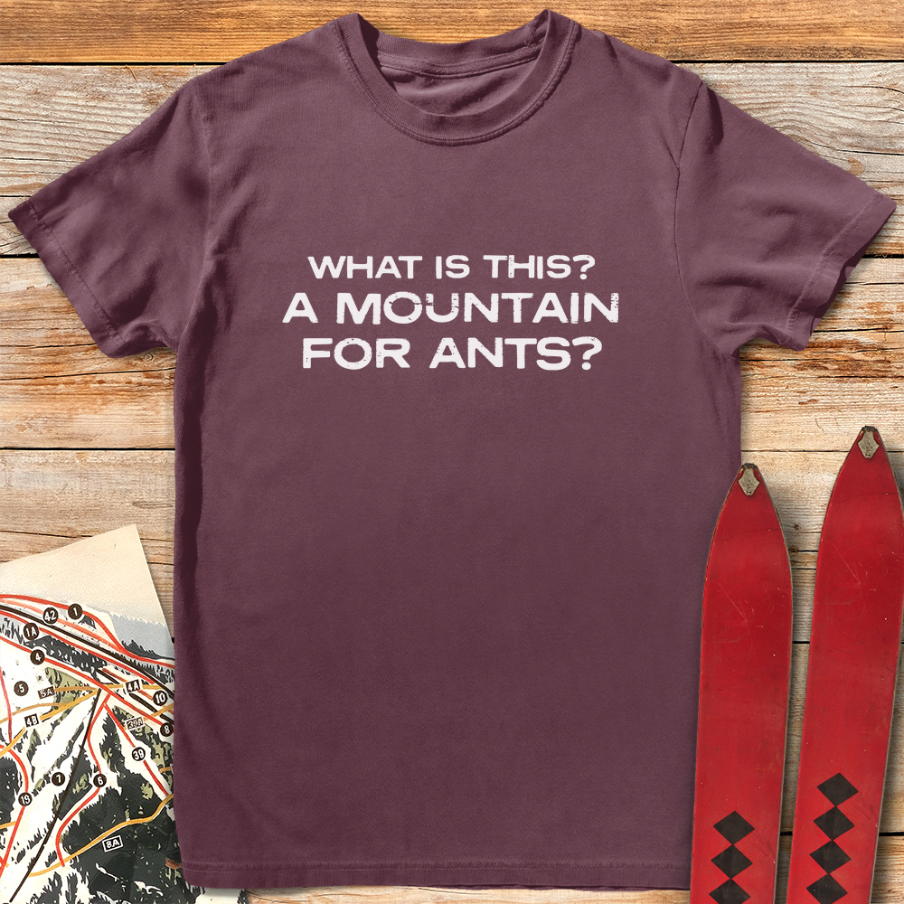 Mountain For Ants product image 3