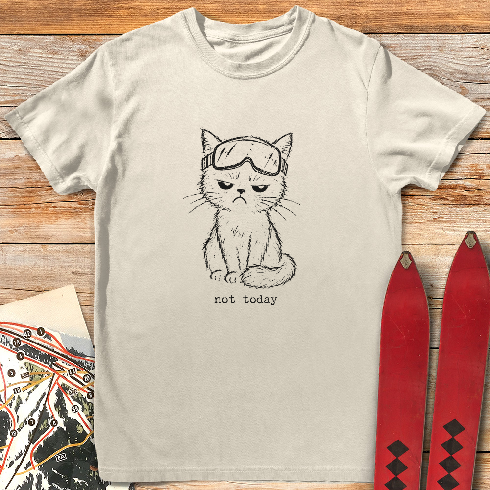 Not Today product image 5