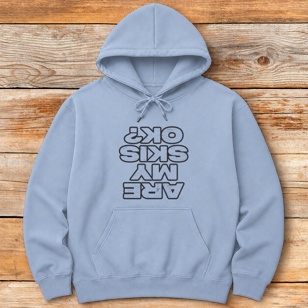 Are My Skis OK product image 2