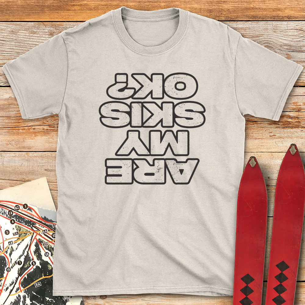 Are My Skis OK product image 2