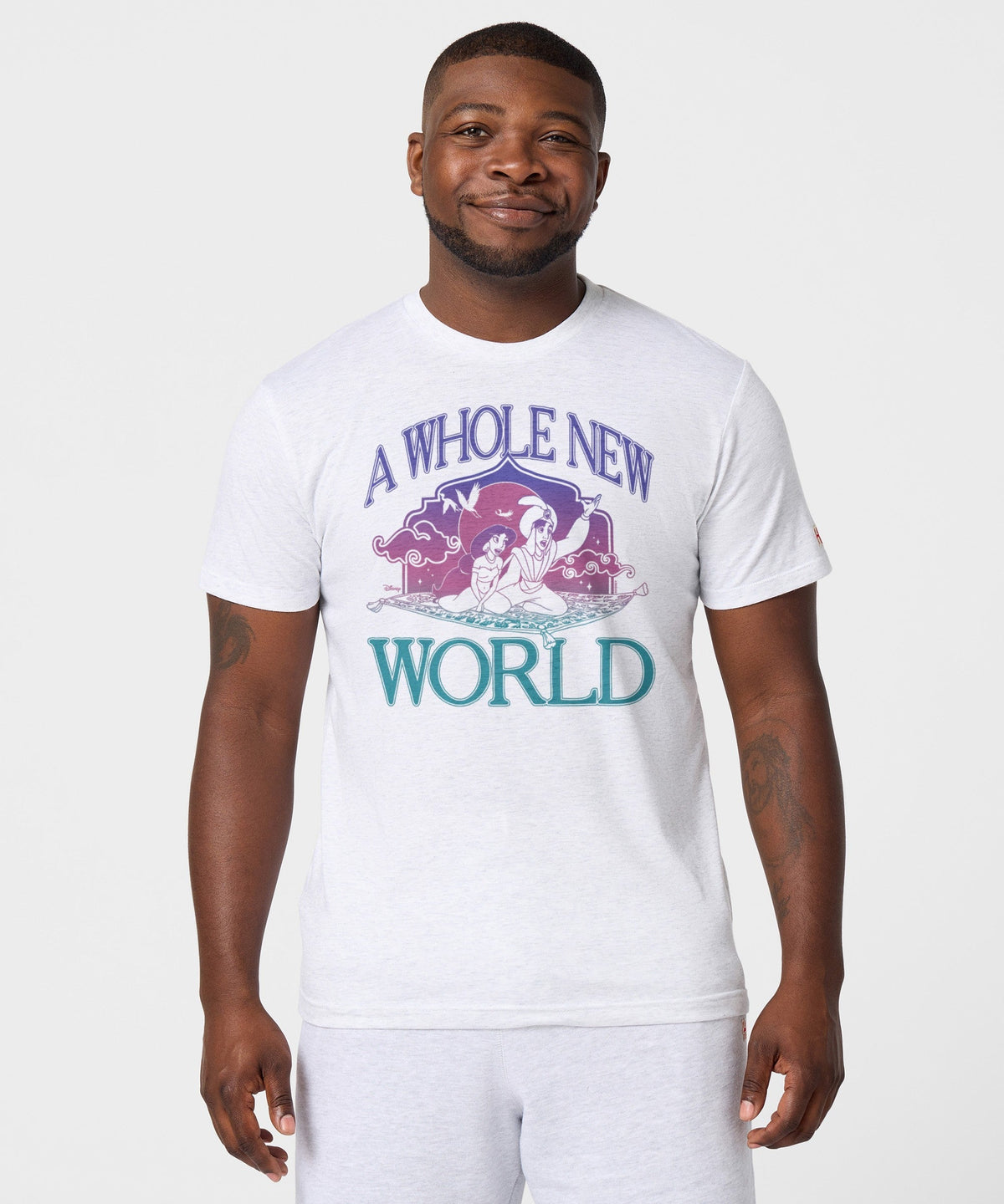 Aladdin A Whole New World product image 3