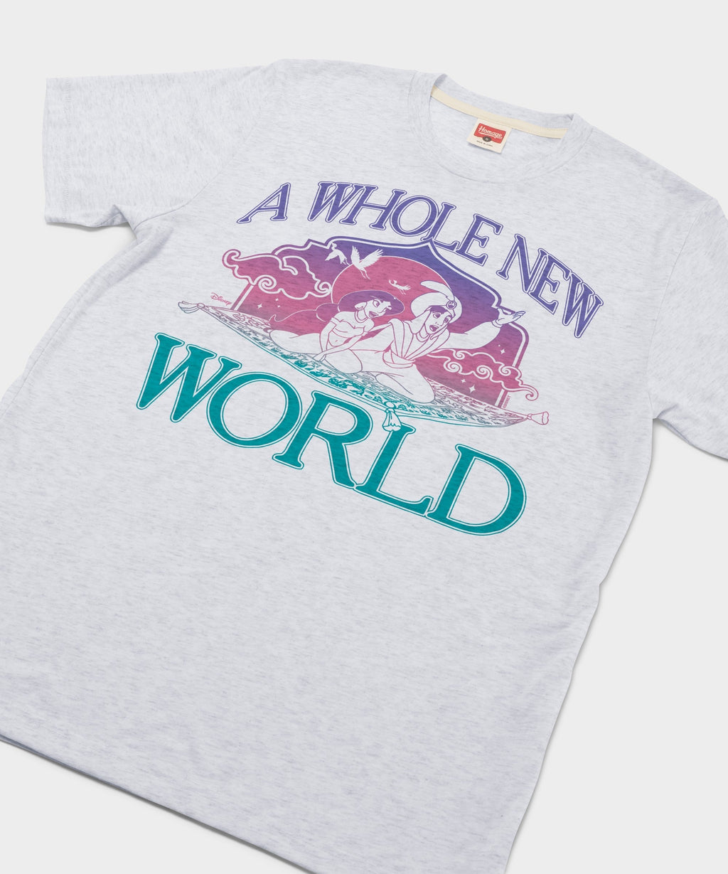 Aladdin A Whole New World product image 2