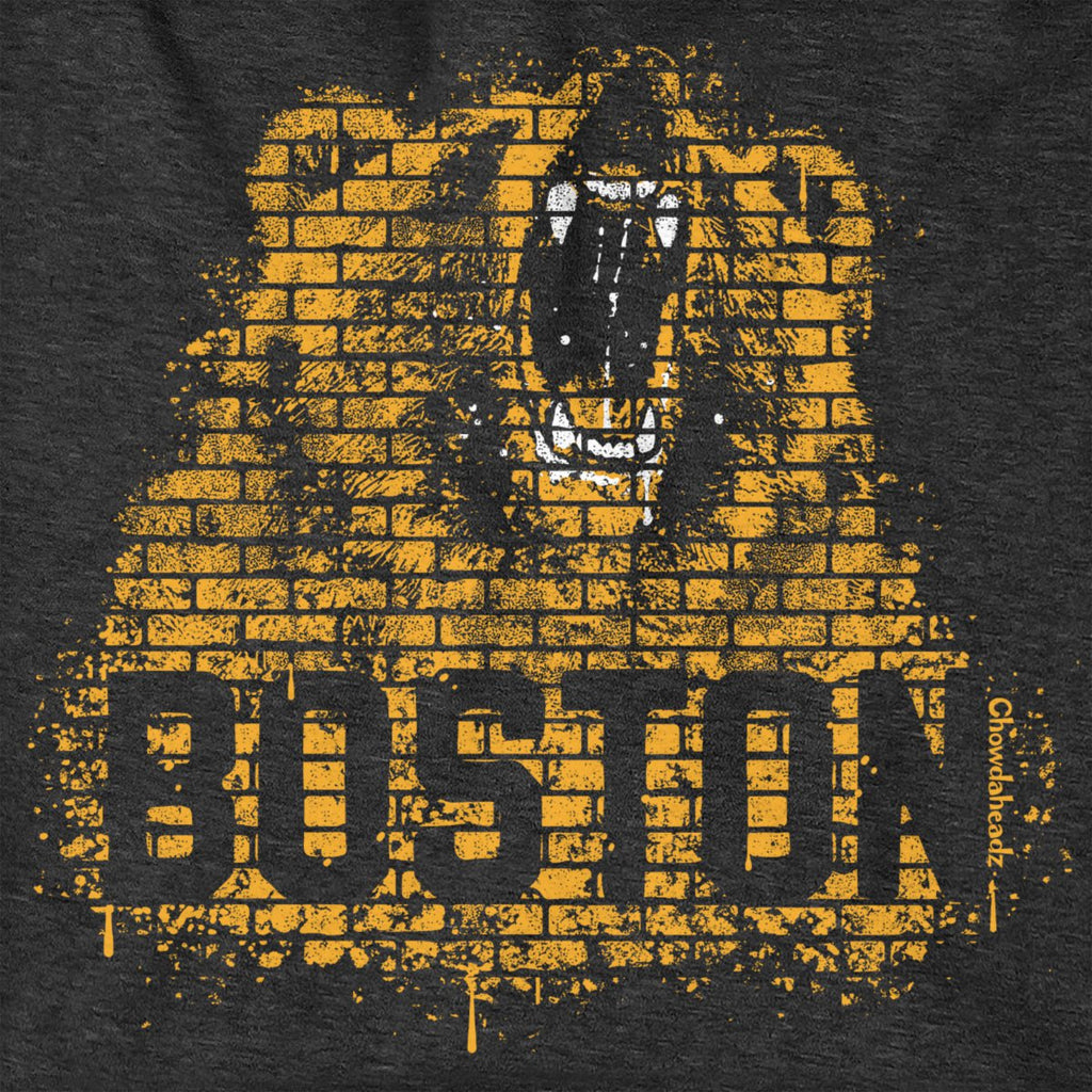 Boston Bear Graffiti Hoodie product image 2