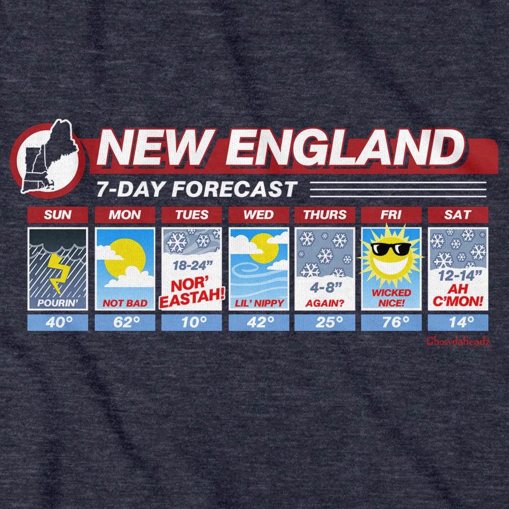 New England Weather Hoodie product image 6