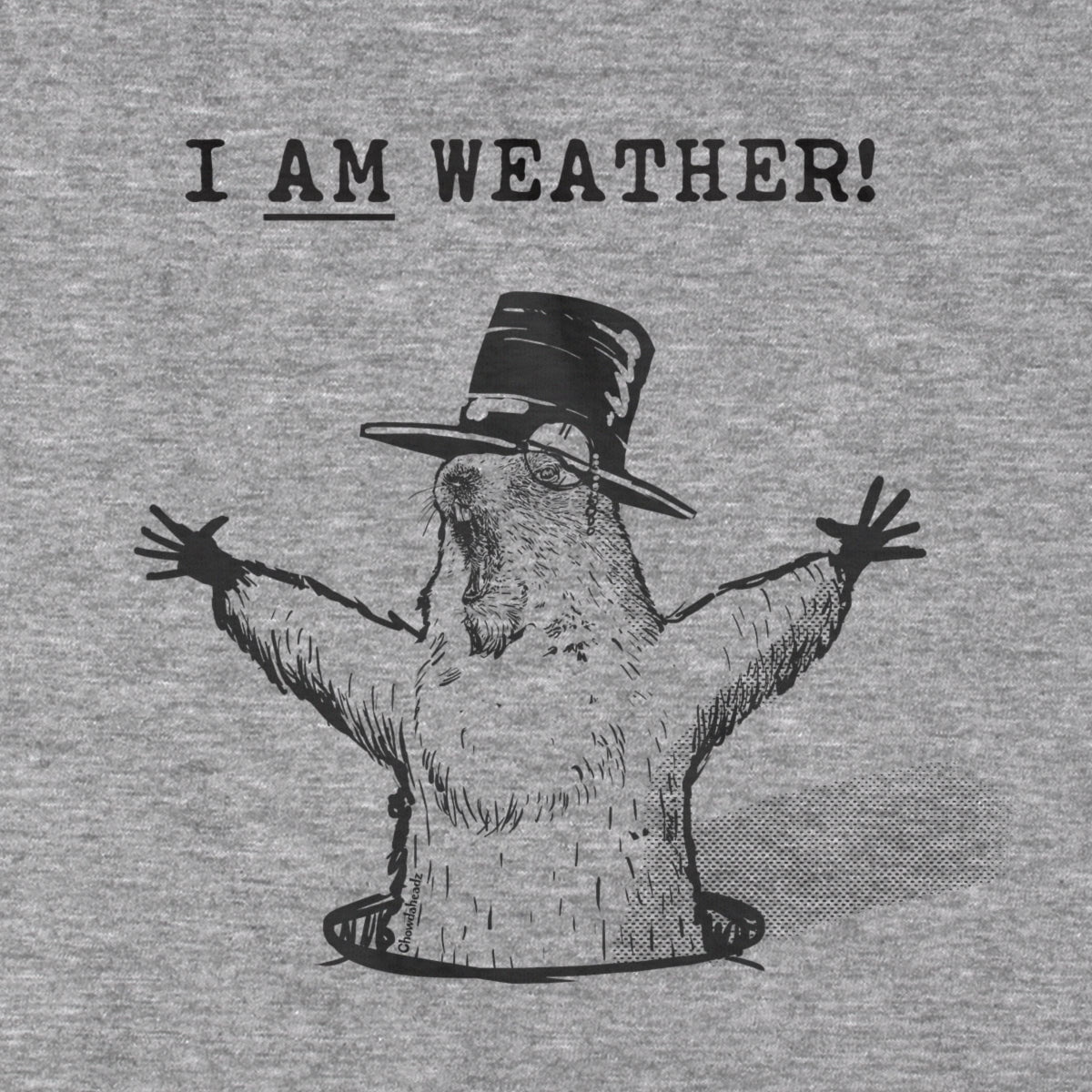 I Am Weather T-Shirt product image 2
