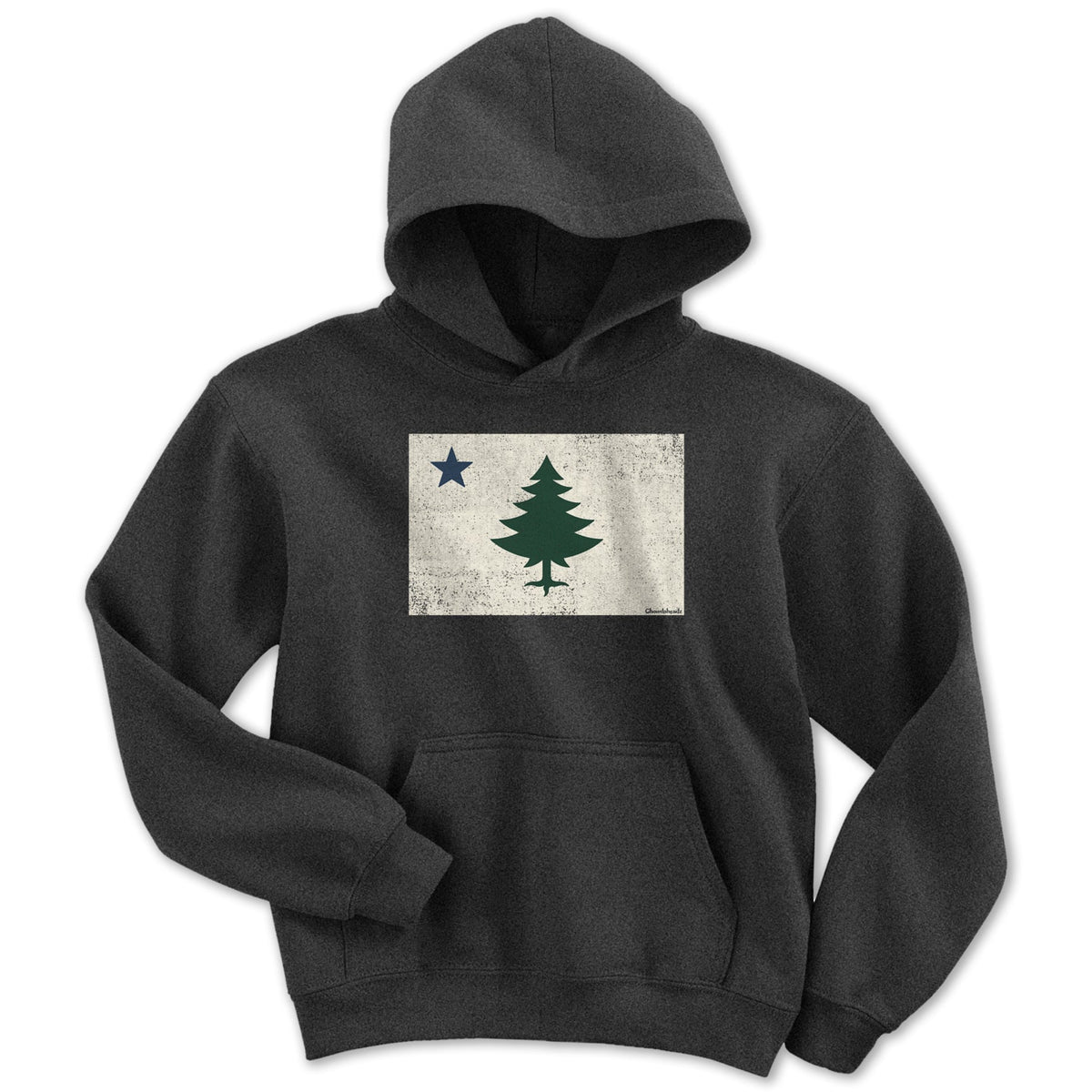 Vintage Maine Flag Youth Hoodie product image 3