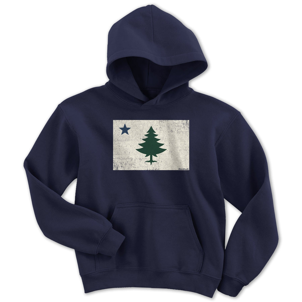 Vintage Maine Flag Youth Hoodie product image 5