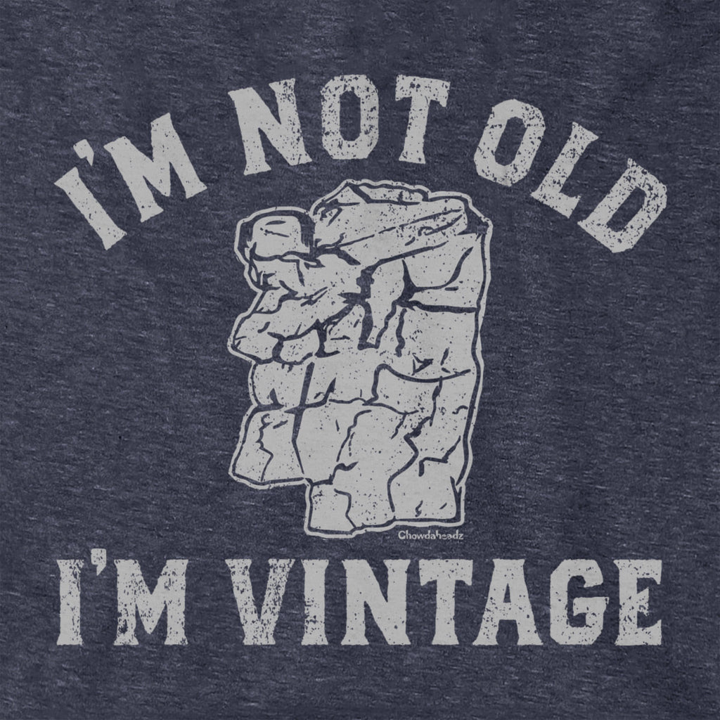 I'm Not Old I'm Vintage Man Hoodie product image 4