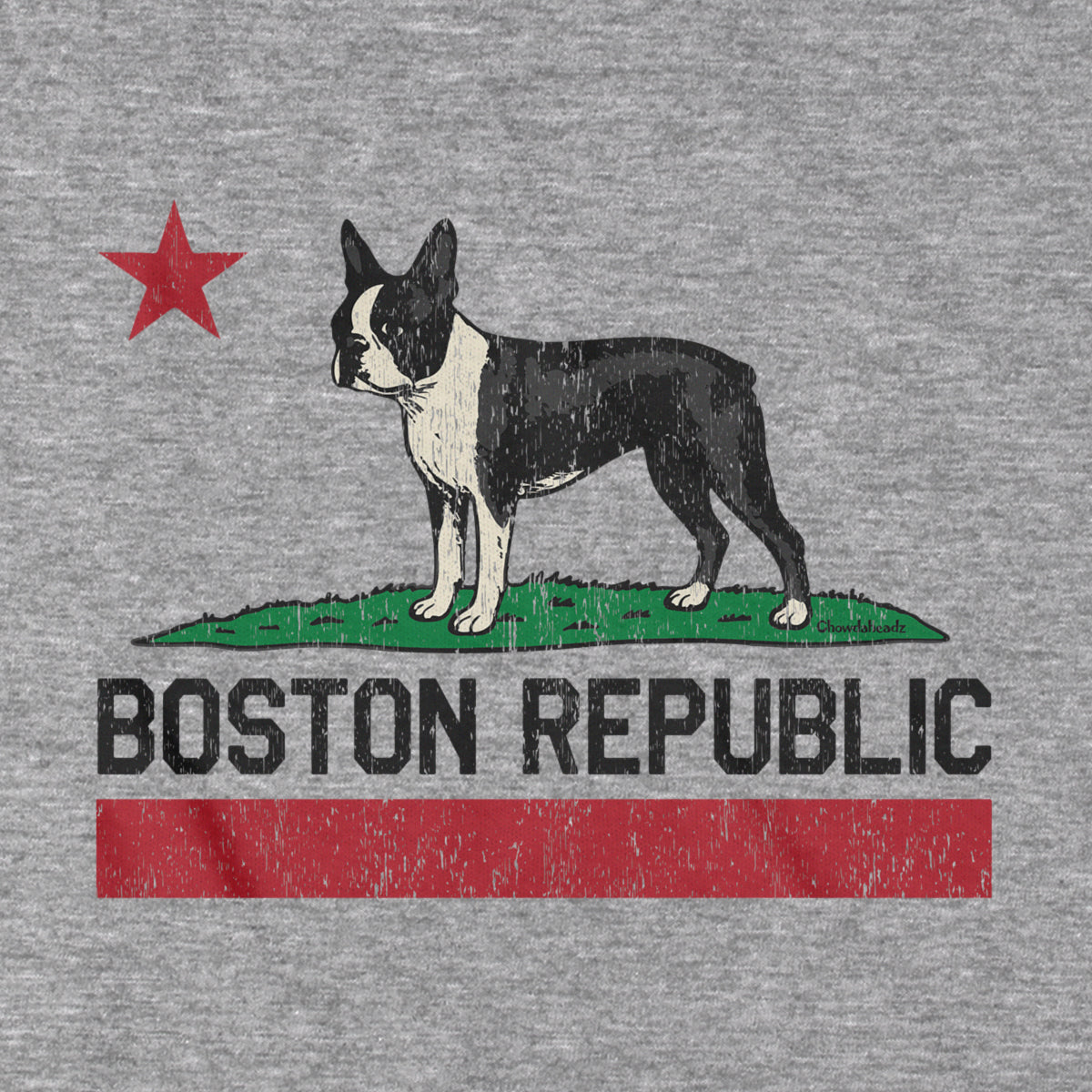 Boston Republic Terrier T-Shirt product image 2
