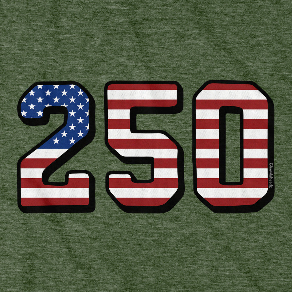 USA 250 American Flag Hoodie product image 4