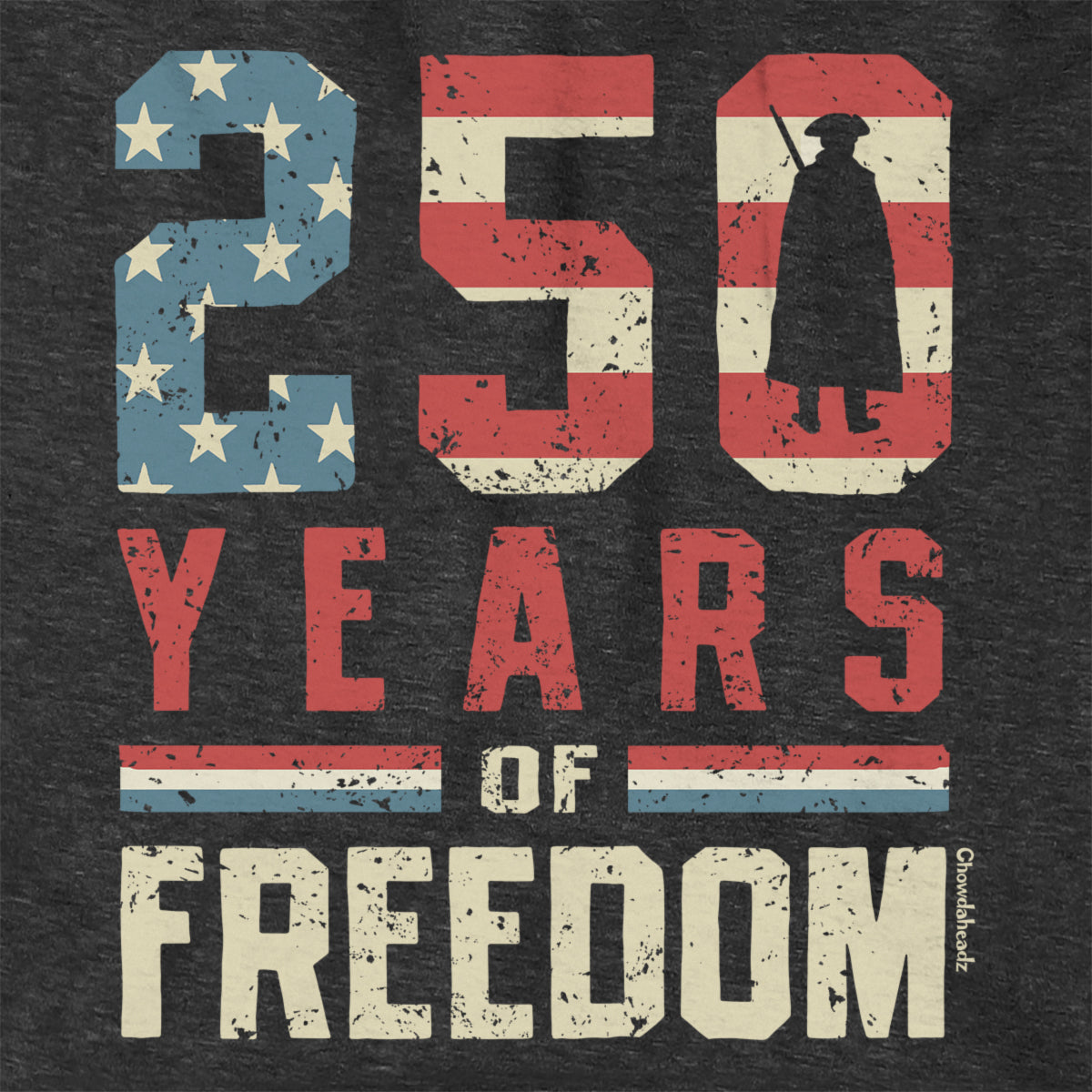 250 Years of Freedom Hoodie product image 2