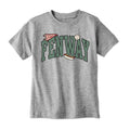 Fenway Arch Baseball Icons Youth T-Shirt product image 1