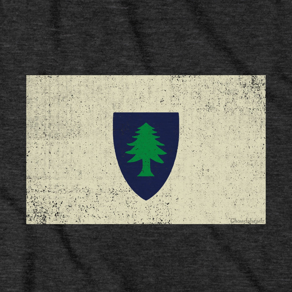 Vintage Massachusetts Flag Hoodie product image 4