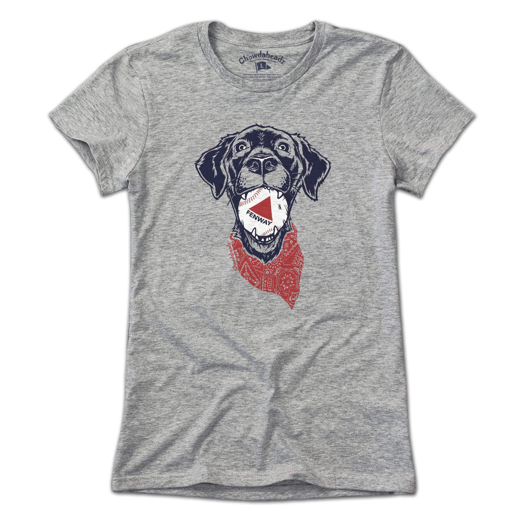 Fenway Dog T-Shirt product image 4