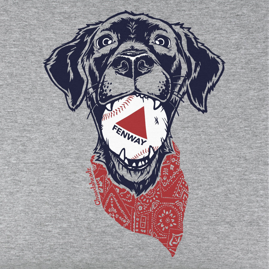 Fenway Dog Youth T-Shirt product image 2