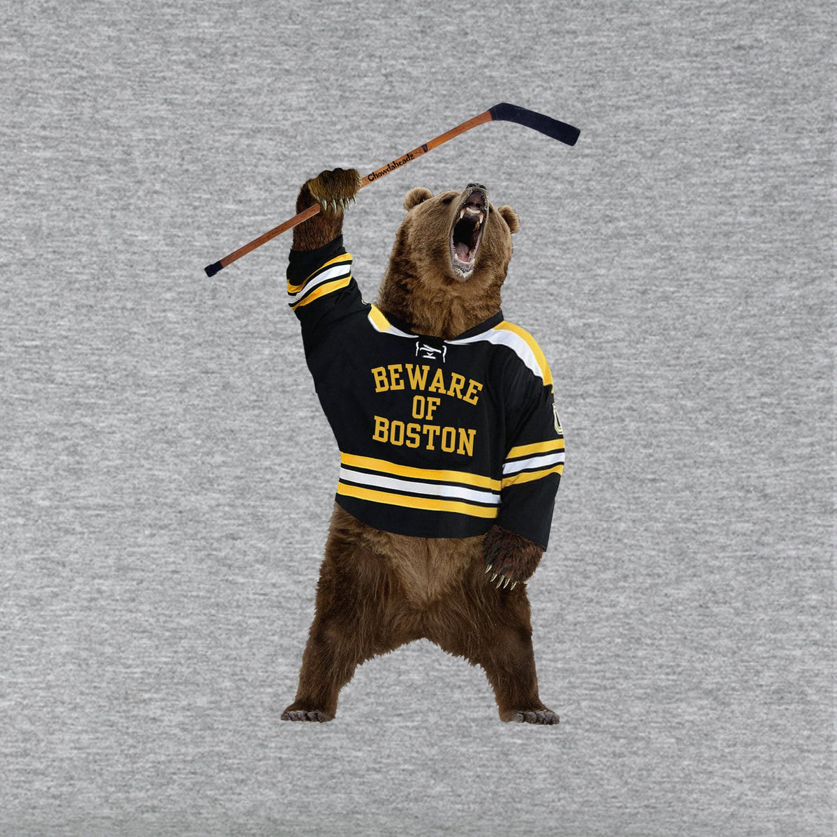 Beware of Boston Bear Youth T-Shirt product image 2