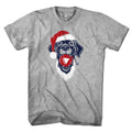 Santa Paws Fenway Dog T-Shirt product image 1