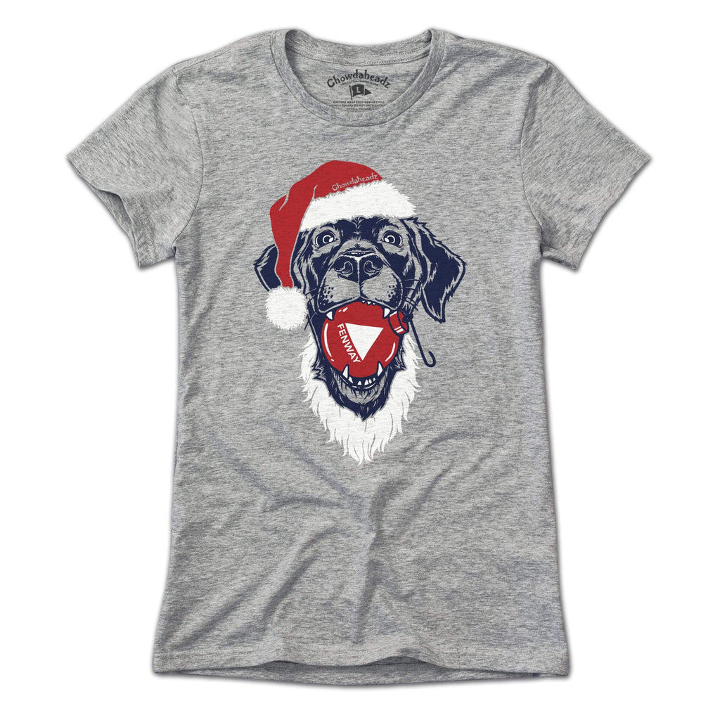 Santa Paws Fenway Dog T-Shirt product image 4