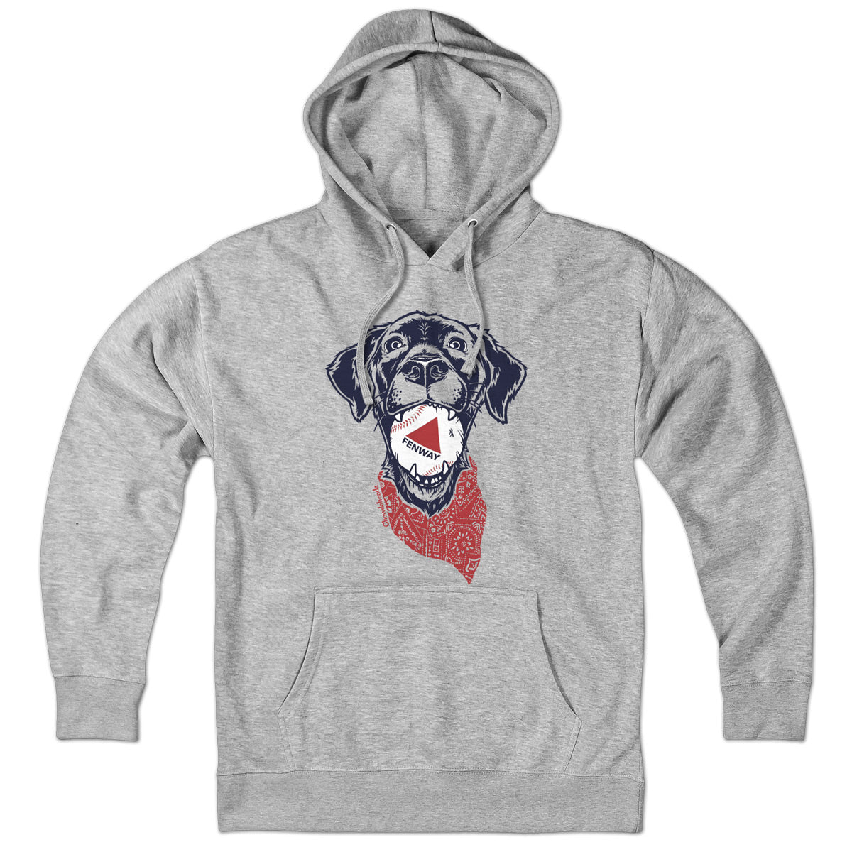 Fenway Dog Hoodie product image 1