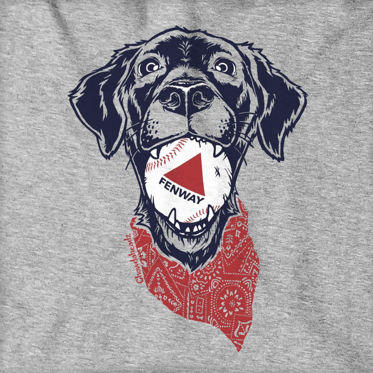 Fenway Dog Hoodie product image 2