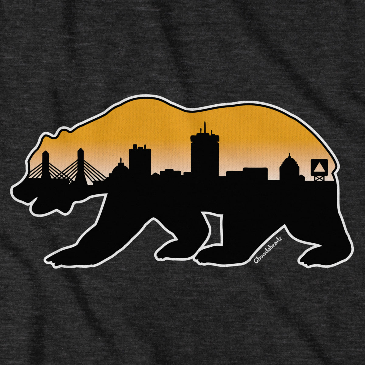 Boston Bear Skyline Tailgater Hoodie product image 2