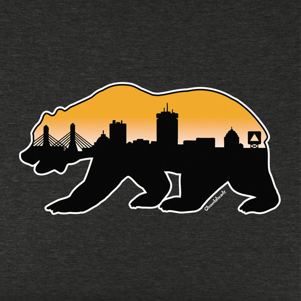 Boston Bear Skyline Youth Hoodie product image 2