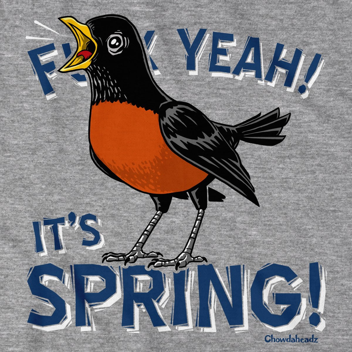 F Yeah! It's Spring! Robin T-Shirt product image 2