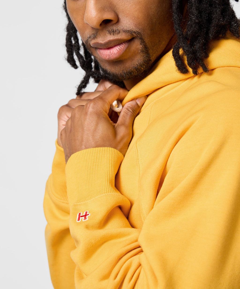 Michigan Wolverines Classic Hoodie product image 5