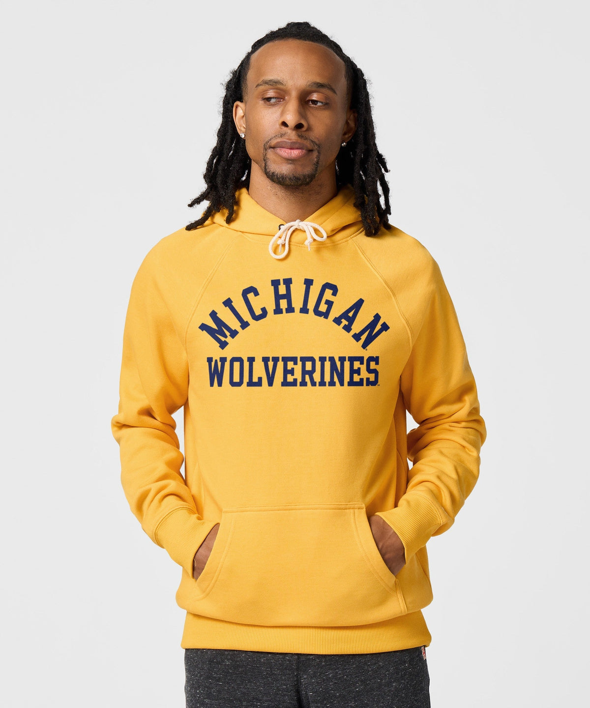 Michigan Wolverines Classic Hoodie product image 3