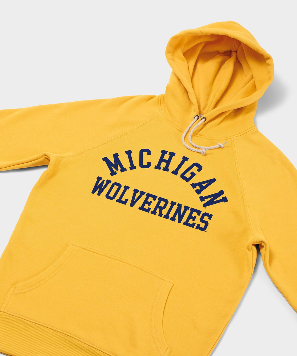 Michigan Wolverines Classic Hoodie product image 2
