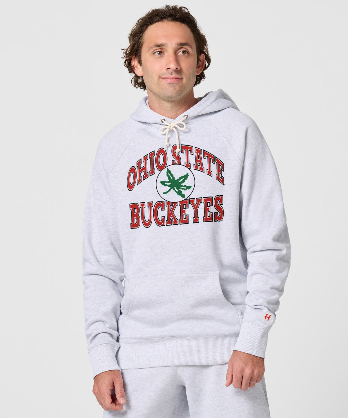 Ohio State Buckeye Leaf Arch Hoodie product image 3