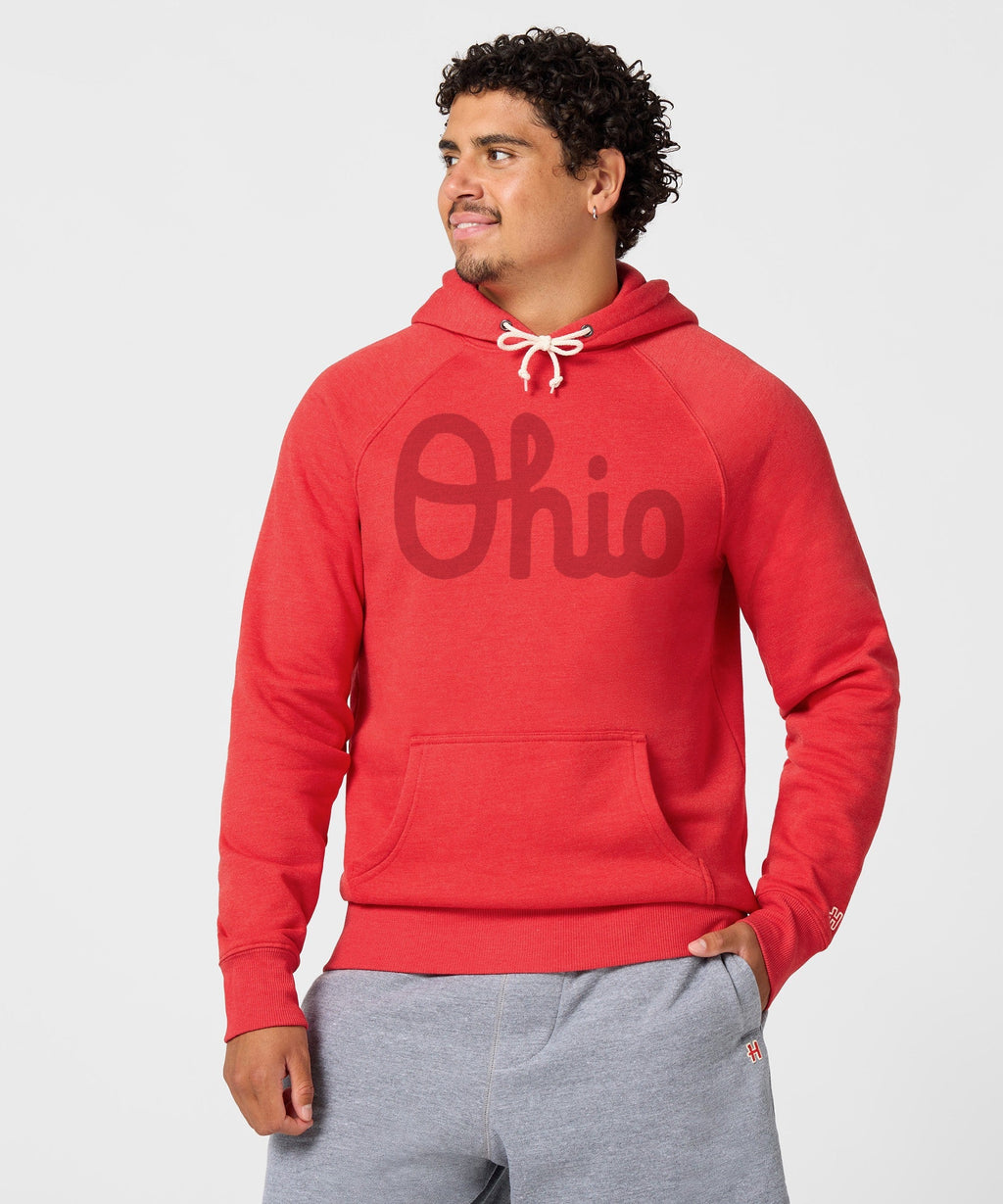 Script Ohio All Scarlet Hoodie product image 3
