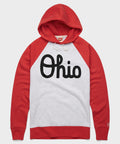 Script Ohio Colorblock Hoodie product image 1