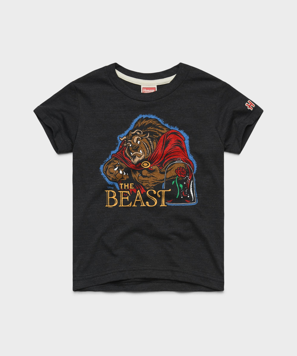 Youth Beauty And The Beast product image 1