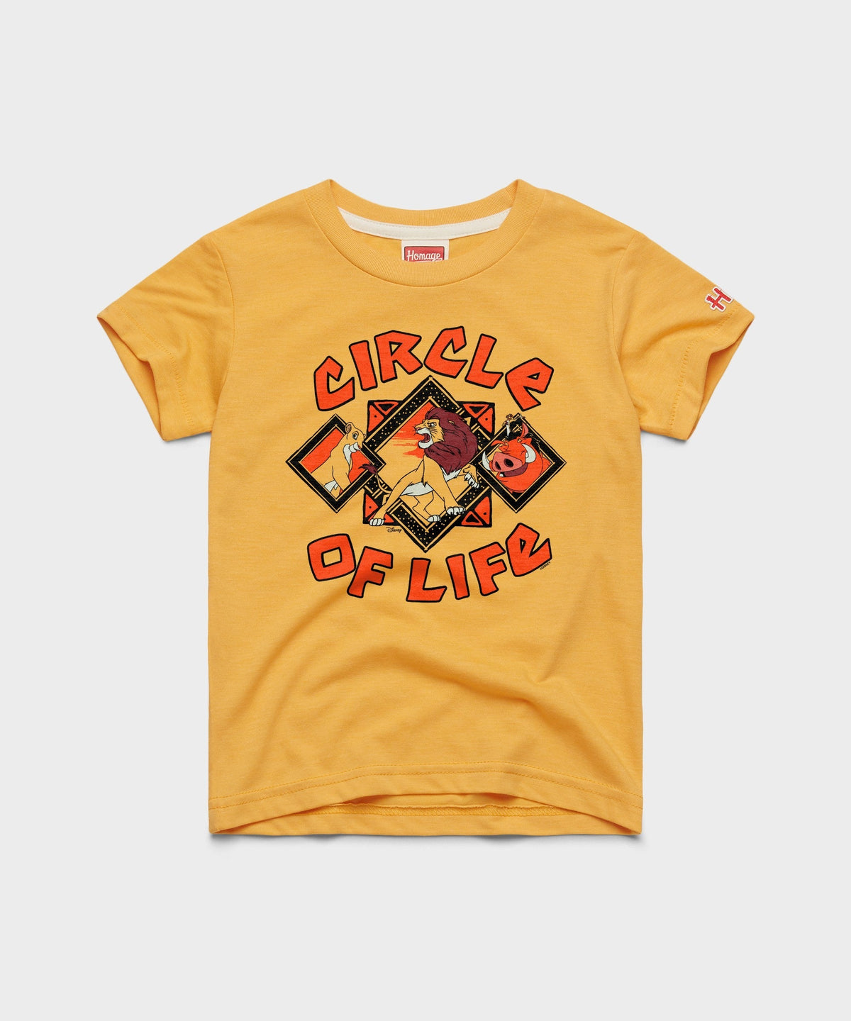 Youth Lion King Circle Of Life product image 1