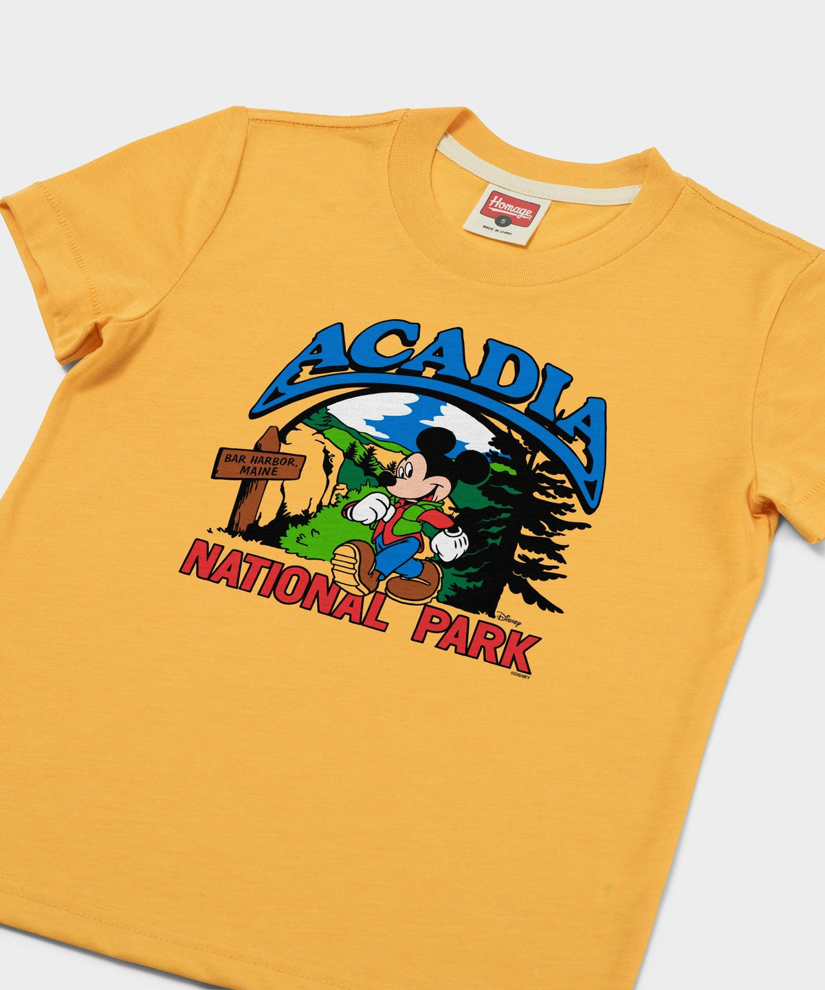 Youth Mickey Mouse Acadia National Park product image 2