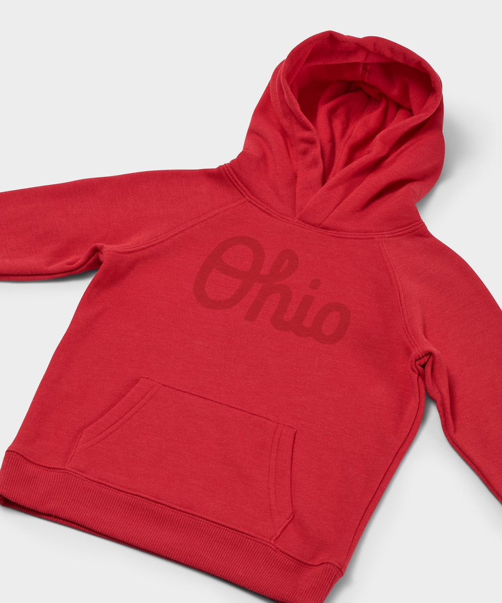 Youth Script Ohio All Scarlet Hoodie product image 2