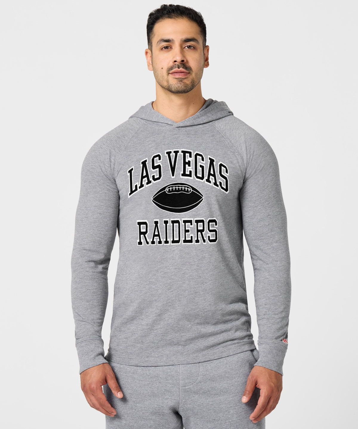 Las Vegas Raiders Gridiron Lightweight Hoodie product image 3