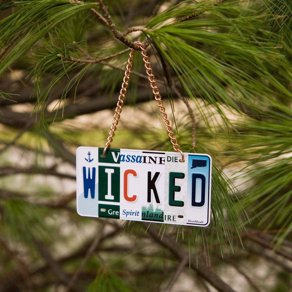 Wicked License Plate Ornament